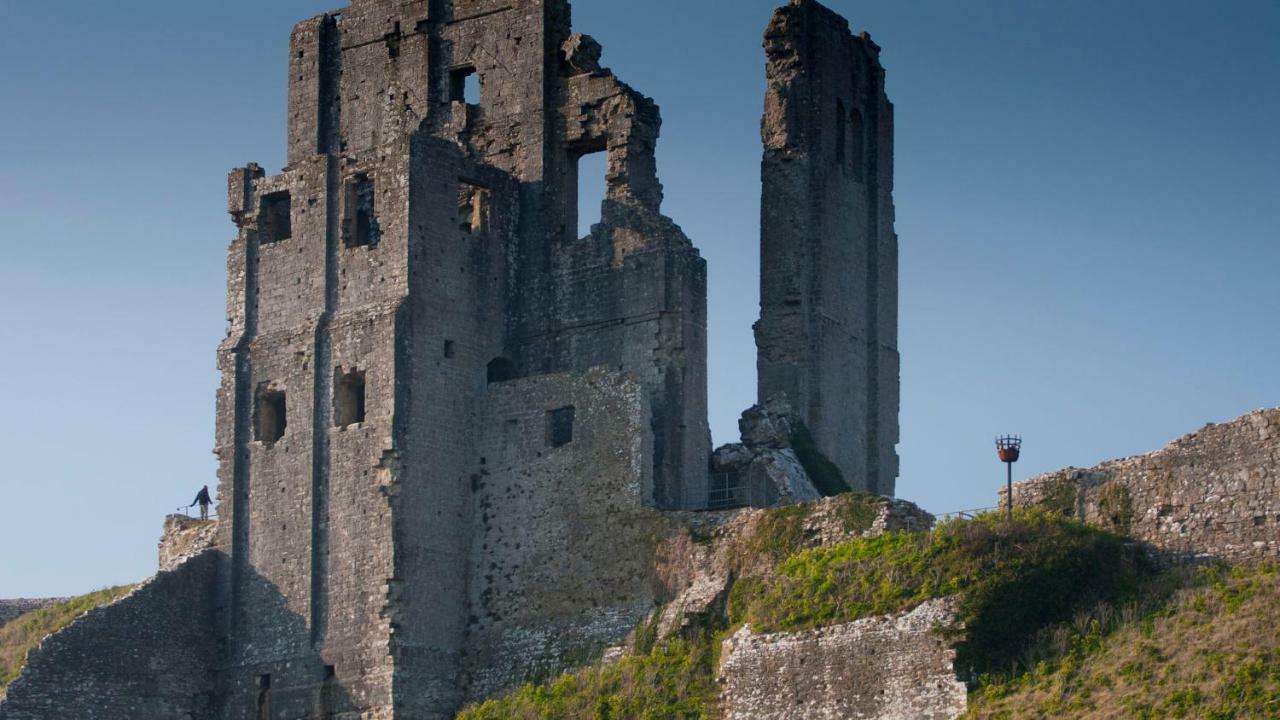 Ammonite Bed & Breakfast Corfe Castle Esterno foto
