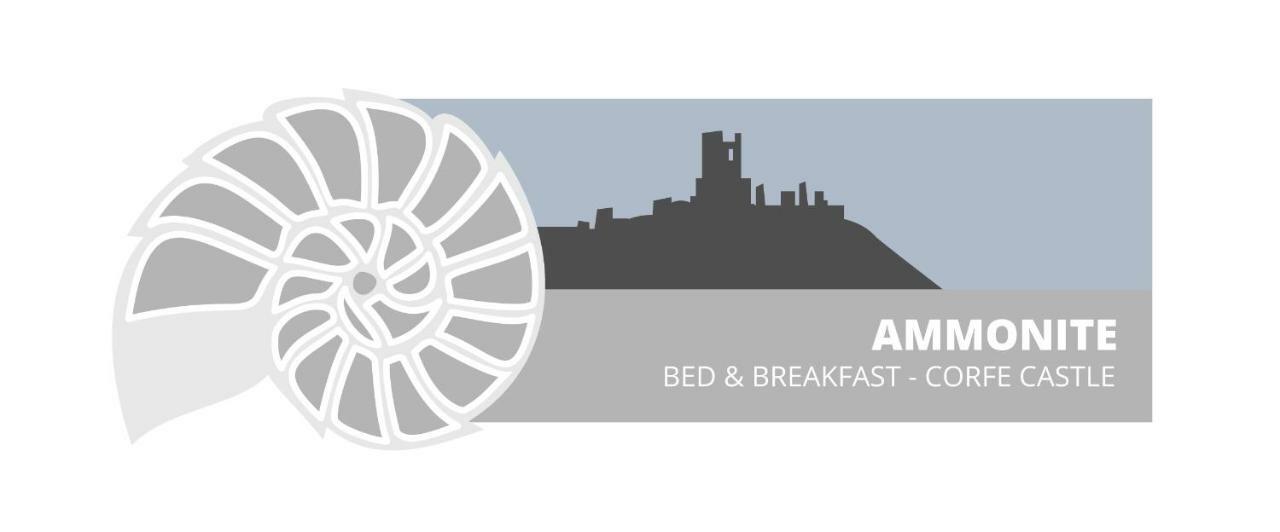 Ammonite Bed & Breakfast Corfe Castle Esterno foto