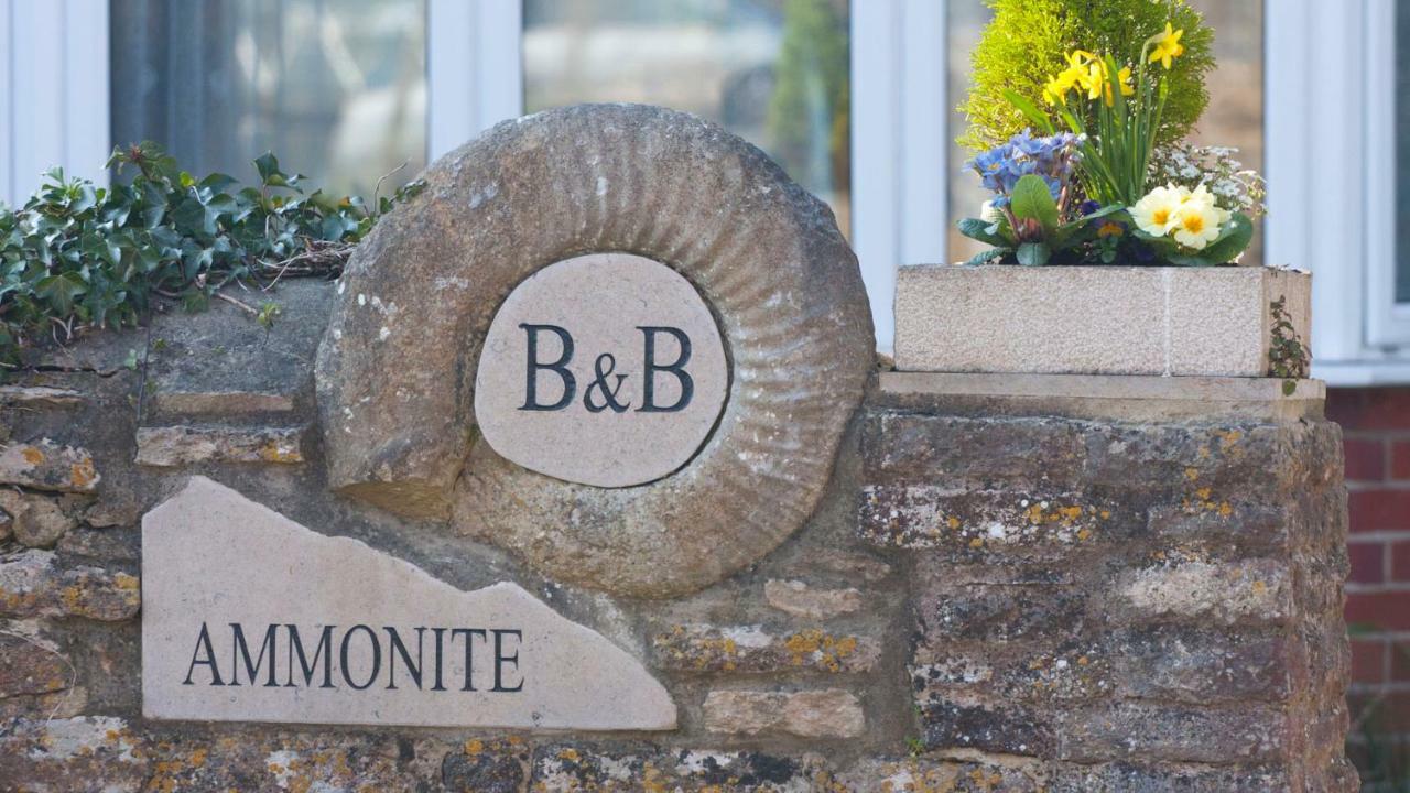 Ammonite Bed & Breakfast Corfe Castle Esterno foto