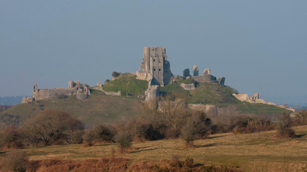Ammonite Bed & Breakfast Corfe Castle Esterno foto